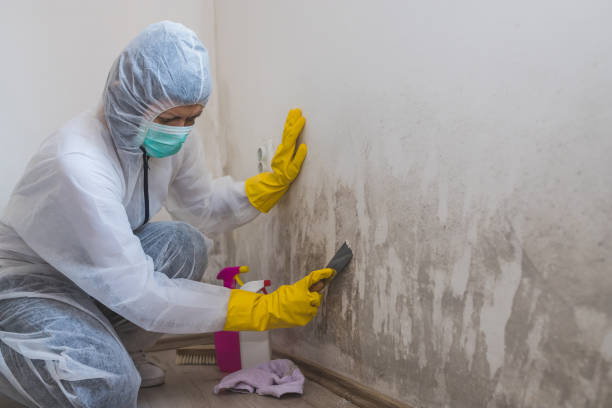 Best Mold Remediation Services  in Golden Triangle, NJ