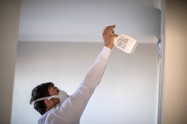 Best Attic Mold Removal  in Golden Triangle, NJ