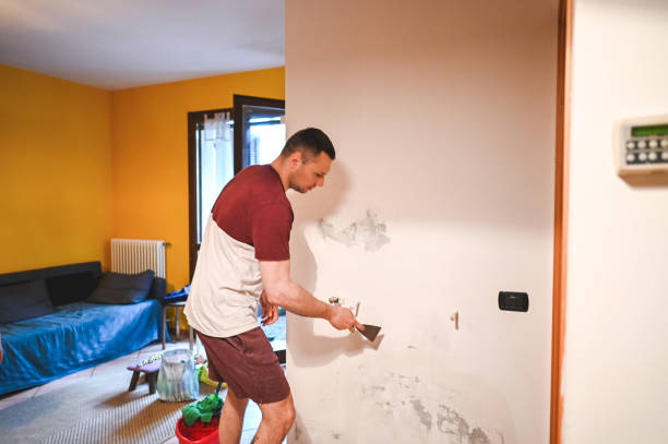 Best Affordable Mold Removal  in Golden Triangle, NJ
