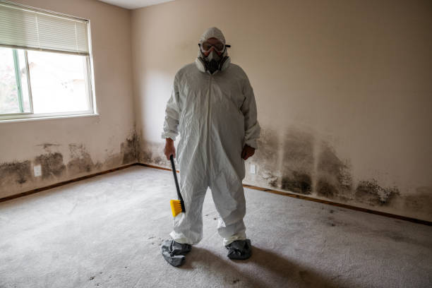 Best Mold Testing  in Golden Triangle, NJ